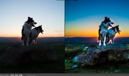 Camera RAW